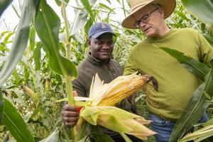 Improving genomic selection for climate resilient corn