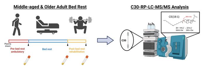 Cholesteryl ester analysis [IMAGE] | EurekAlert! Science News Releases
