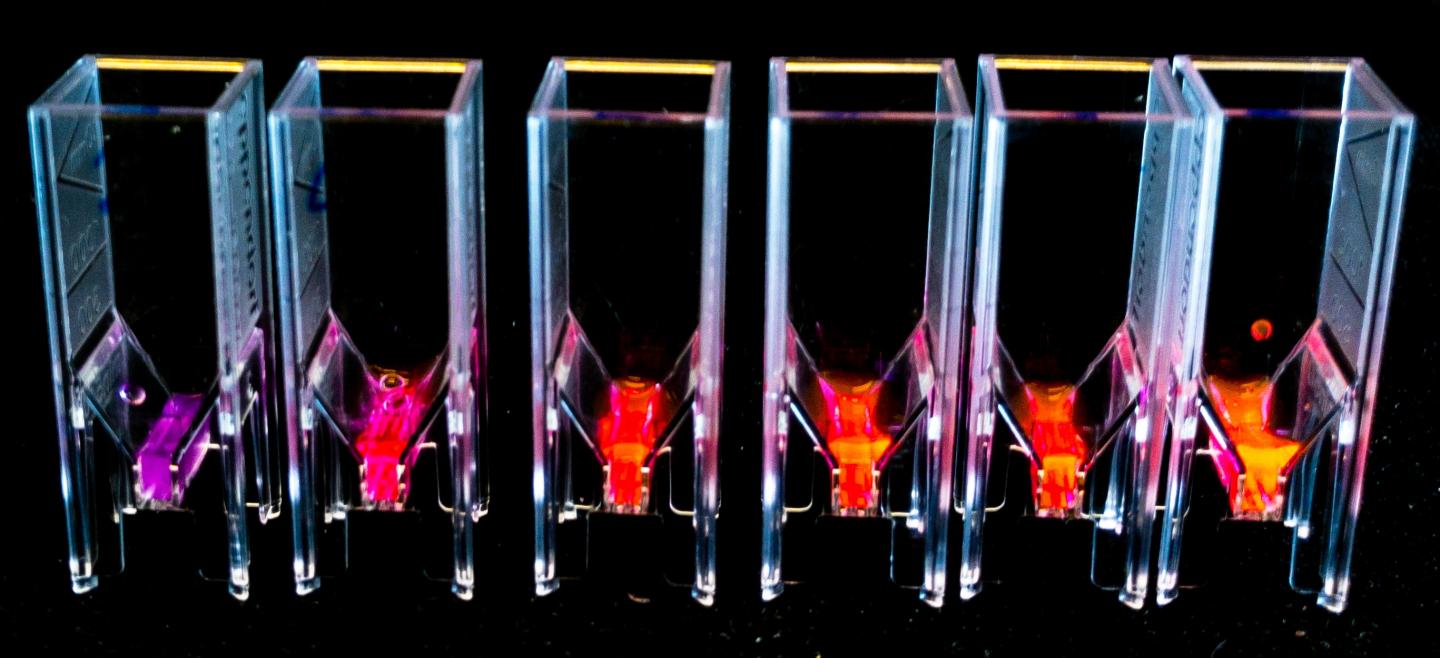 Flourescent Proteins in the Laboratory