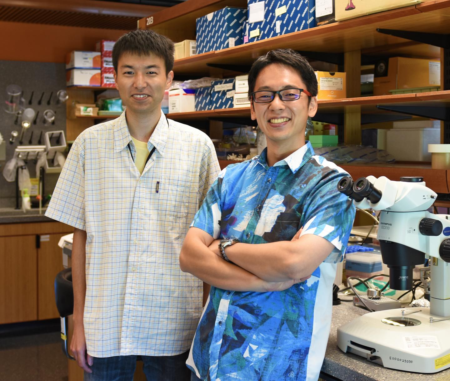 Dr. Asuka Arimoto and Dr. Koki Nishitsuji, OIST