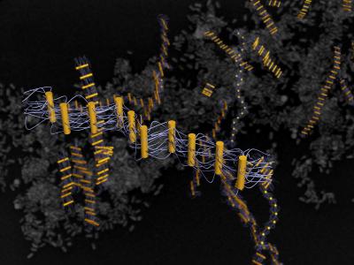 DNA-Tethered Nanorods