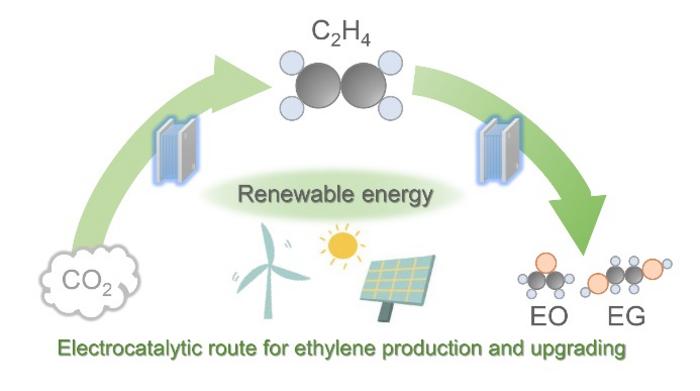 Upgrading ethylene via renewable energy-driven electrocatalysis