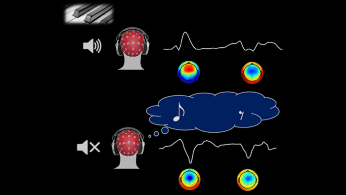 Imagined Music and Silence Trigger Similar Brain Activity