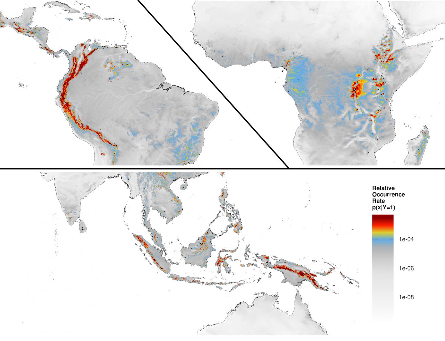 Tropical Montane Cloud Forests