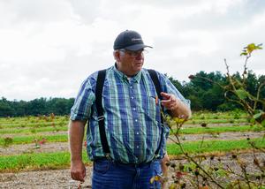 Mark Windham at the UT Plateau AgResearch and Education Center rose trials