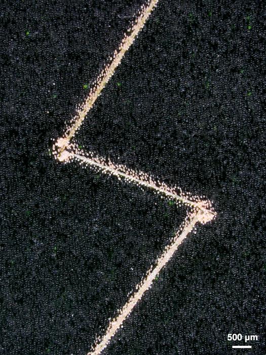 Damage-Indicator Coating