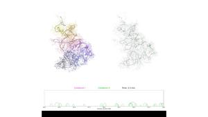 Dynamic polymer model of mitotic chromosome rod formation