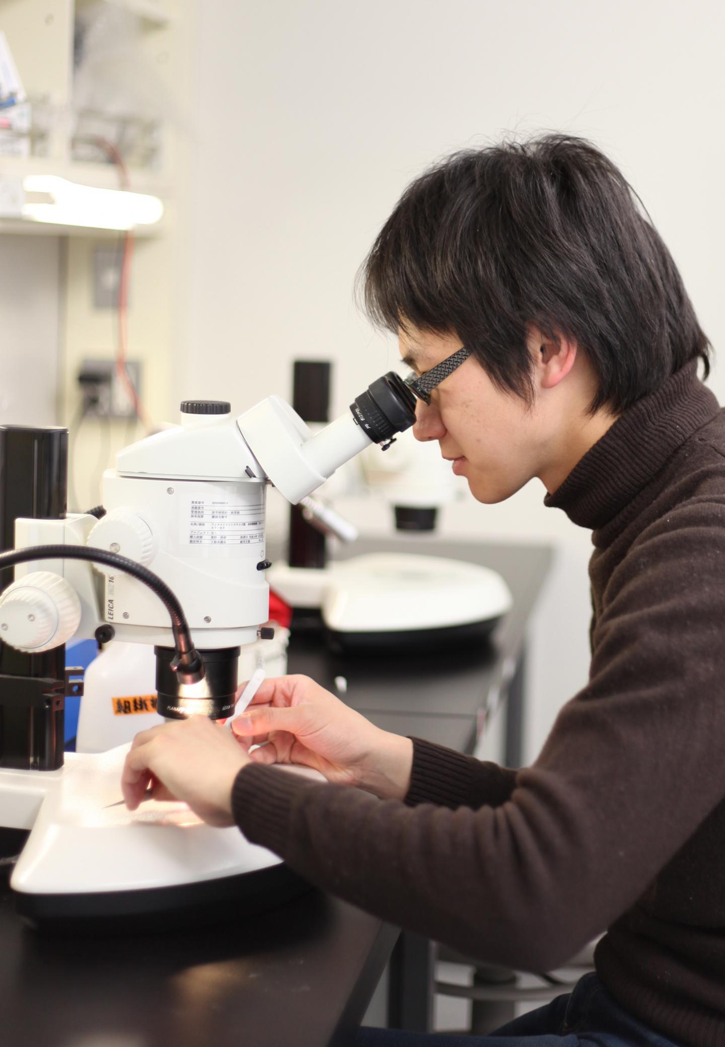 Dongbo Shi, National Institutes of Natural Sciences