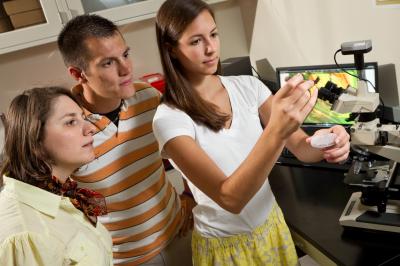 Oana Jurchesu and Graduate Students, Wake Forest University