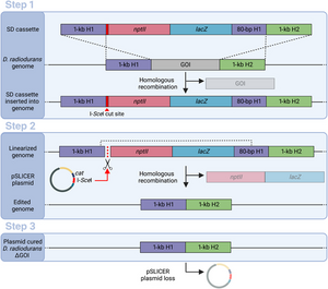 Fig. 2. Overview of the SLICER method.