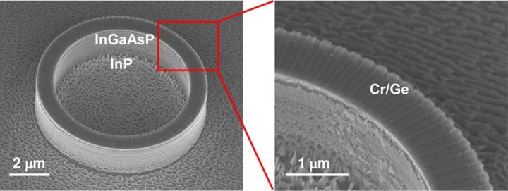SEM of Microring Laser Cavity