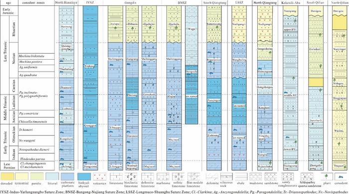 Correlation of Triassic deposits of the QTP (no scales for vertical direction)