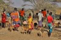 Rabies Vaccinations in Rural Kenya