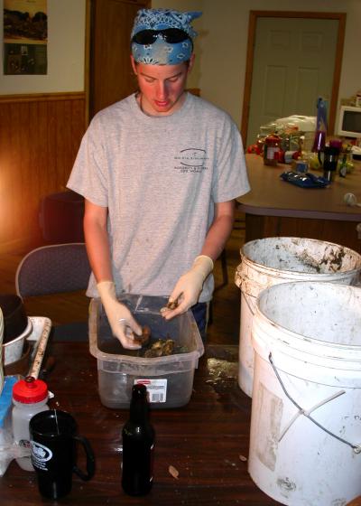 Sorting Marine Creatures