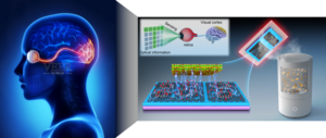 Conceptual graph of all-in-one sensing-memory-computing approaches.