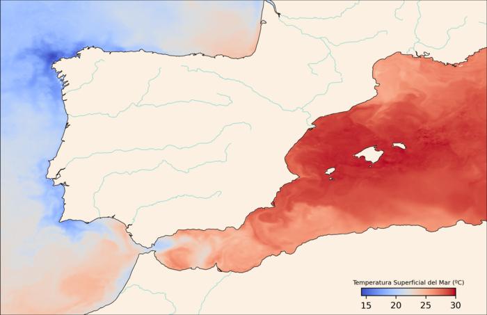 Sea-surface temperature map, July 2022. Data from Copernicus Marine Service