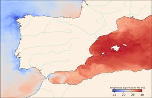 Sea-surface temperature map, July 2022. Data from Copernicus Marine Service