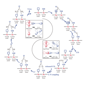 The mechanism of urea electrosynthesis over FLPs sites of InOOH electrocatalyst