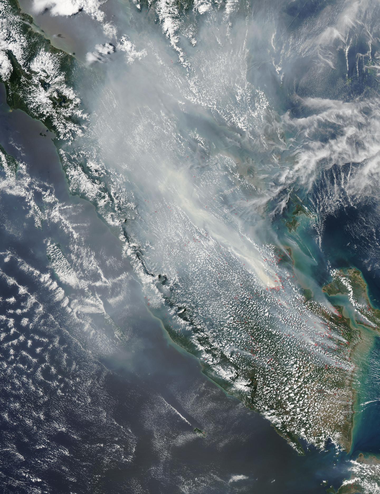 Agricultural Fires Still Ablaze In Sumatra EurekAlert   Public