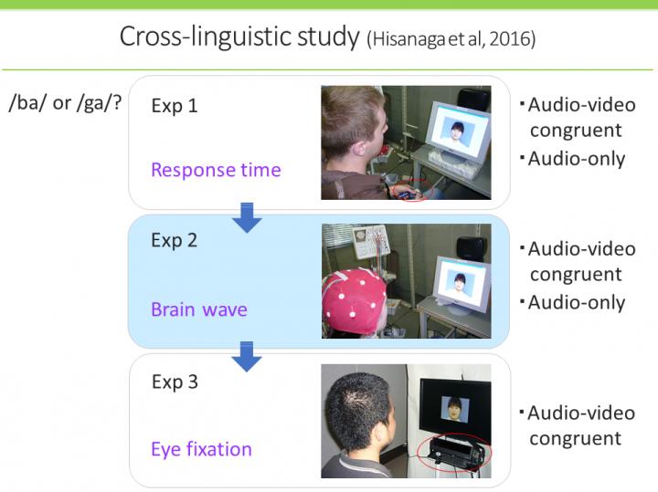 Cross-Linguistic Analysis of the McGurk Effect