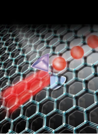 Graphene on Silicon Photonic Crystal Nanomembranes