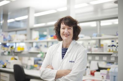 Joan Heath, Walter and Eliza Hall Institute