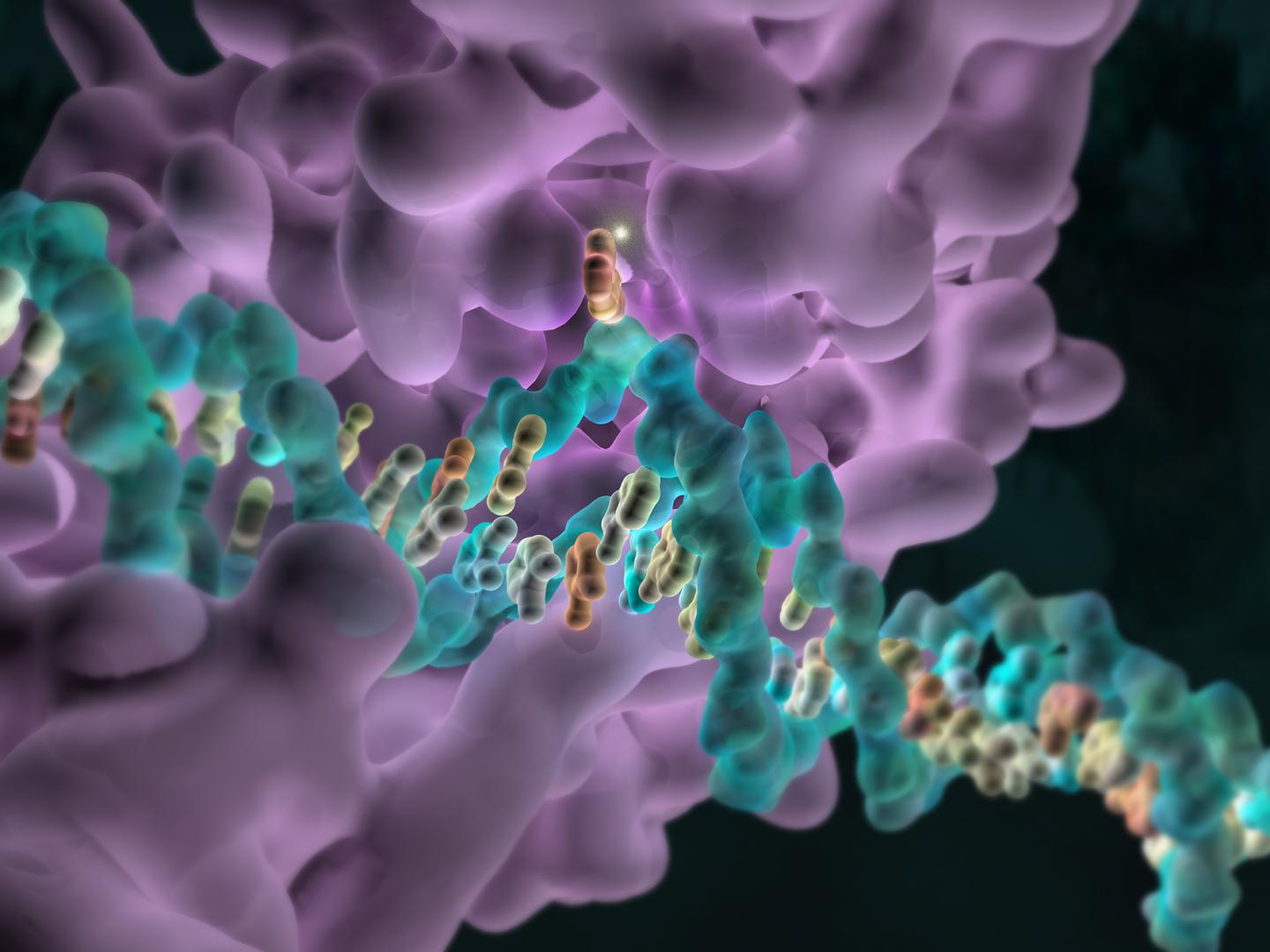 Methylation