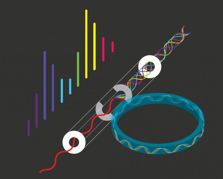 Forming a Comb in a Microresonator Associated with an Optical Waveguide. The Artistic Version