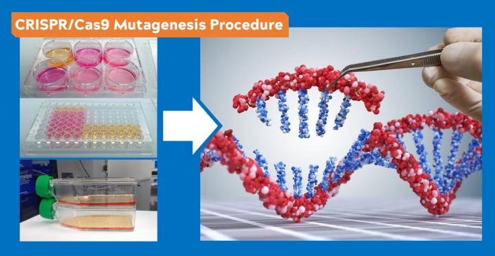 CRISPR-Cas9