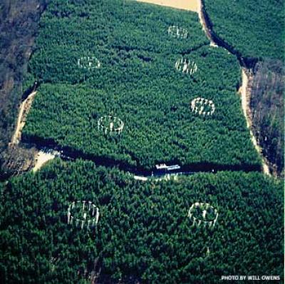 Aerial View of Free-Air Carbon Dioxide Enrichment