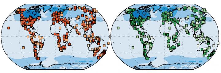 Worldwide Changes in Vegetation Since the Last Ice Ages