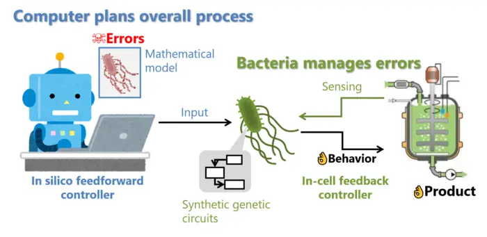 Bioprocess optimization can be improved by addressing the problem of process-model mismatch (PMM)