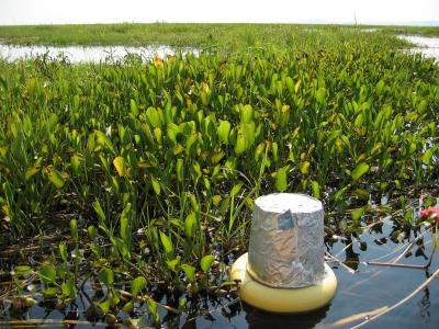 Field Site in Pantanal, Brazil