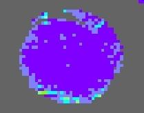 Blood Flow in Surface Blood Vessels of a Mouse not Treated