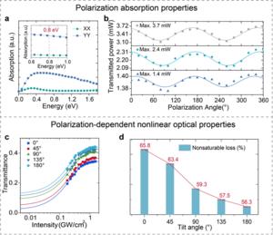 Figure | Polarization-dependent optical response of the quasi-1D Ta₂PdS₆.