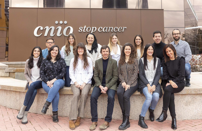 Brain Metastasis Group