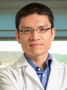 Dr. Tao Yang