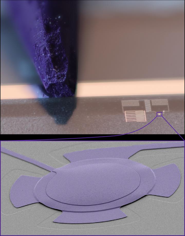 The Microdrum Used in This Study