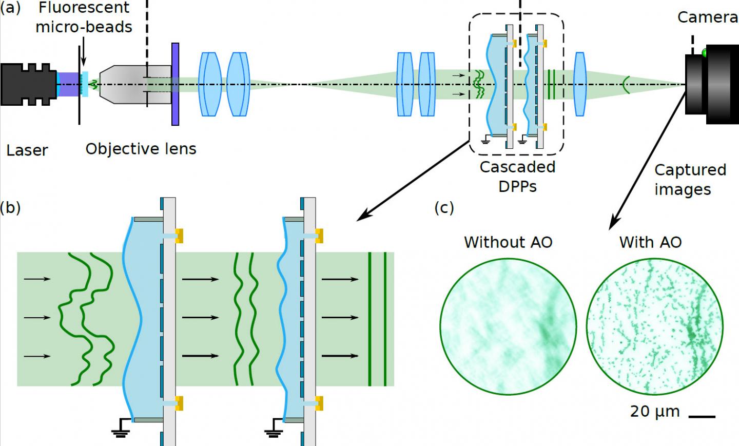 Schematic layout of the developed fluorescence microscope; view of the cross-section of cascaded DPPs.