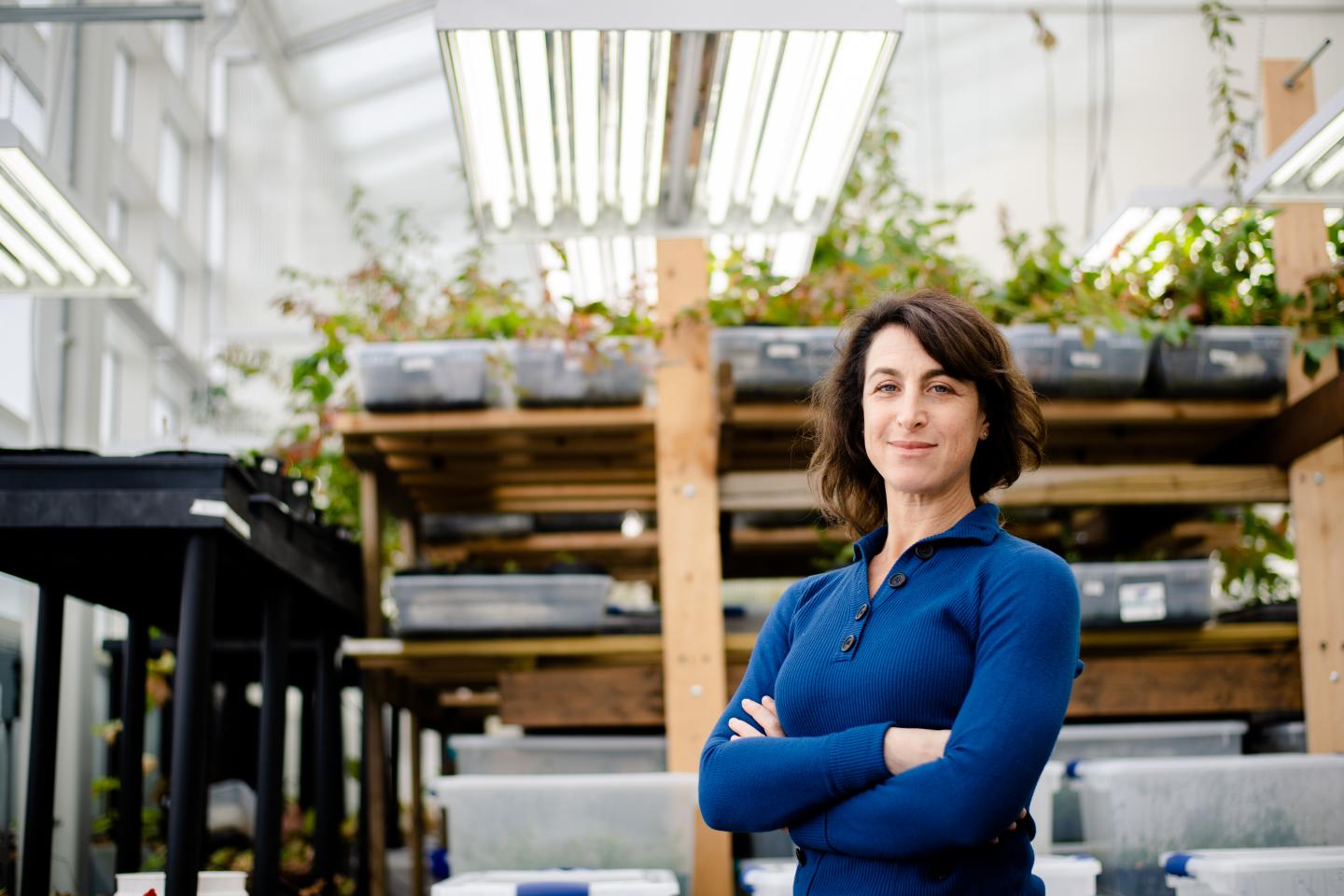 Erika Hersch-Green wins NSF CAREER award