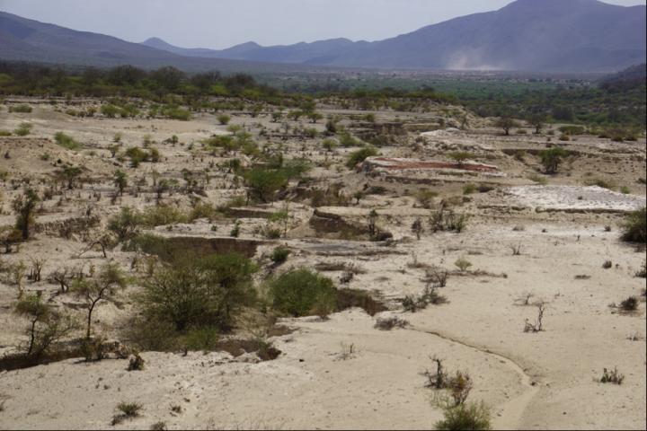 The Olorgesailie Basin in the Kenya Rift Valley