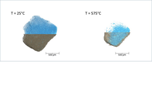 4b - Biomass particles