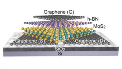 2-D Field-Effect Transistor