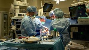 Paired Liver Surgery