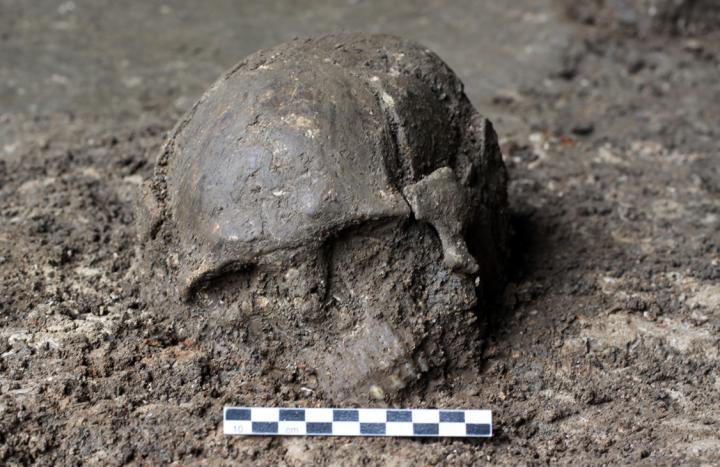 Skull of Qihe 2, a ~8,400-year-old individual from Qihe Cave, Fujian, China