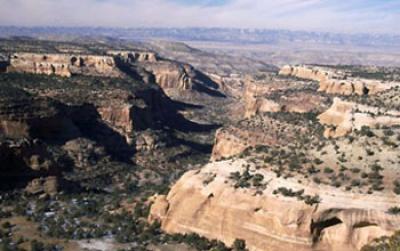 Rattlesnake Canyon Wildlife Area in New Mexico
