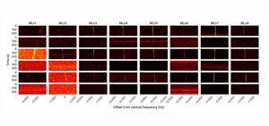 Waterfall-plots-of-the-eight-signals-of-interest