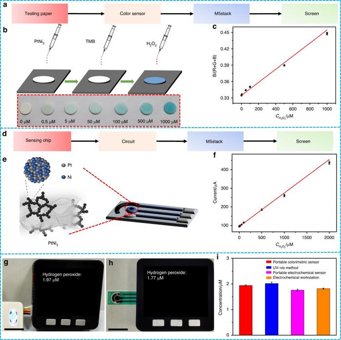 Diagram and application of the portable visual and electrochemical H2O2 sensors.