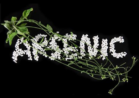 Arsenic