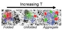 Hydrogels Folding, Unfolding, and Aggregating